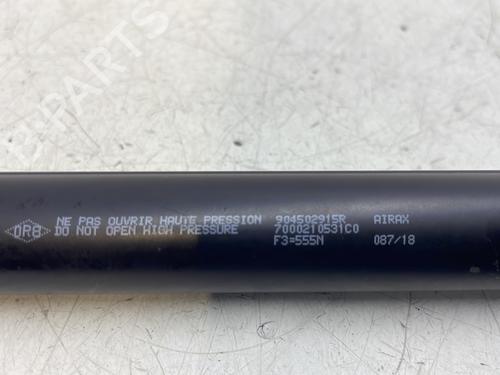 Tailgate lift support RENAULT ZOE (BFM_) ZOE | BP27924437C138
