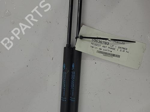 Tailgate lift support PEUGEOT 407 (6D_) 2.0 HDi 135 (6DRHRH, 6DRHRE, 6DRHRG, 6DRHRJ) | BP22820798C138 