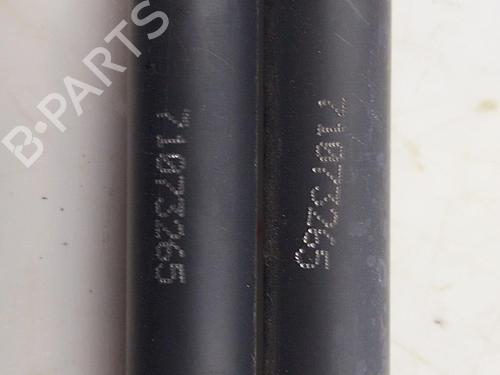 Tailgate lift support FORD FIESTA VI (CB1, CCN) 1.4 TDCi | BP22826626C138 