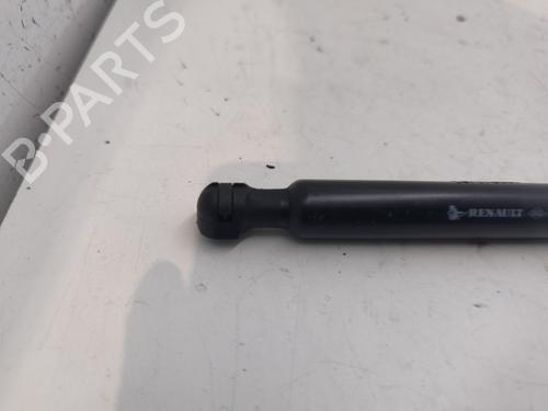 hood-lift-support-dacia-logan-ii-2012-26642346 main image