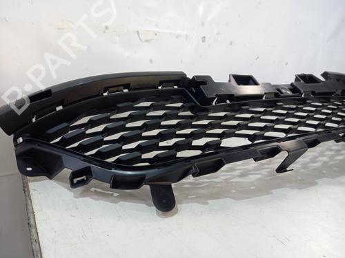 Grille RENAULT ZOE (BFM_) ZOE | BP29540863C40 