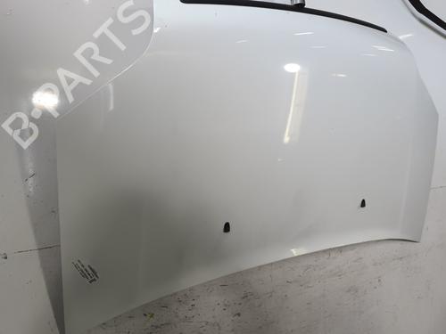 Hood FORD TRANSIT CONNECT (P65_, P70_, P80_) 1.8 TDCi | BP27631676C1