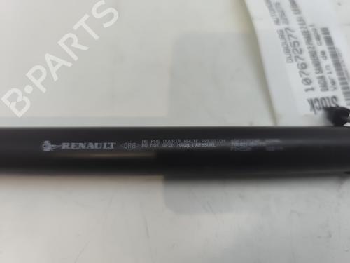 Hood lift support DACIA SANDERO II TCe 90 (B8M1, B8MA, B8AC) | BP26911386C139 