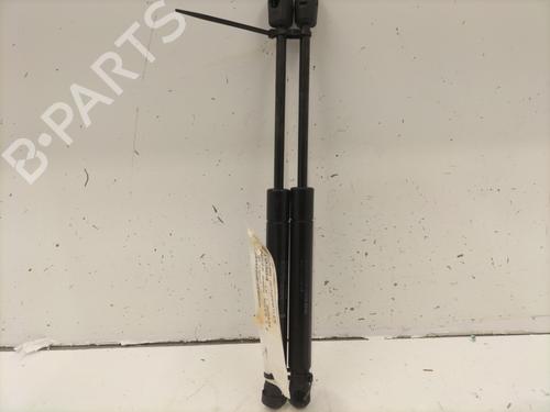 Used Hood lift support LAND ROVER RANGE ROVER EVOQUE (L538) 2.0 D 4x4 (180 hp) 22846906