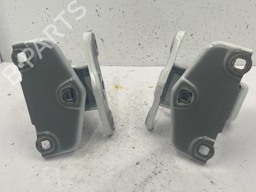 Used Hinge/Door check strap RENAULT TRAFIC III Van (FG_) [2014-2025]  25720255