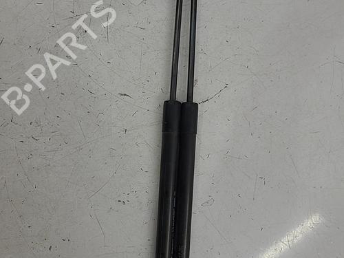 Tailgate lift support RENAULT CLIO IV (BH_) 1.5 dCi 75 | BP22820030C138 