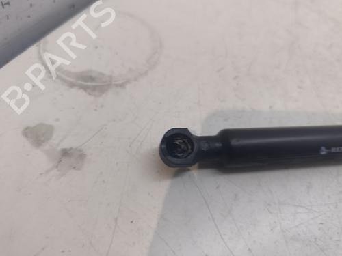 Used Hood lift support DACIA SANDERO II [2012-2025]  27545895