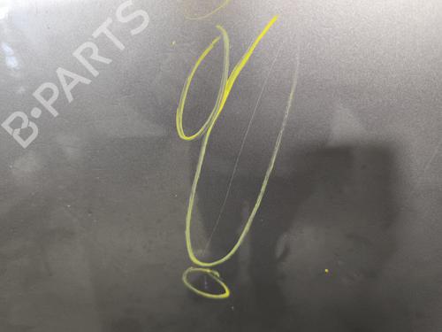 Left rear door RENAULT SCÉNIC III (JZ0/1_) 1.5 dCi | BP29869058C4