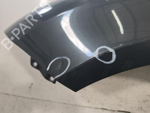 Left front fenders SEAT LEON (1P1) 2.0 TDI 16V | BP27706119C41 