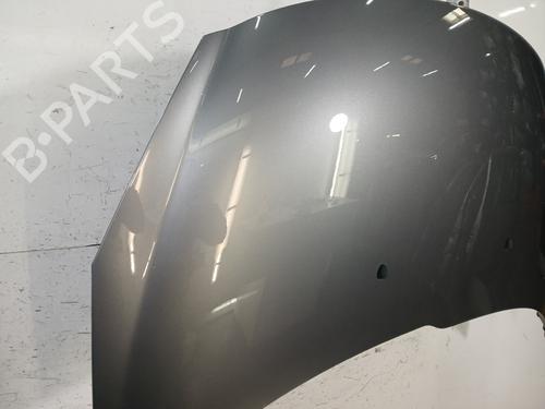 Hood PEUGEOT 206+ (2L_, 2M_) 1.1 | BP30184189C1