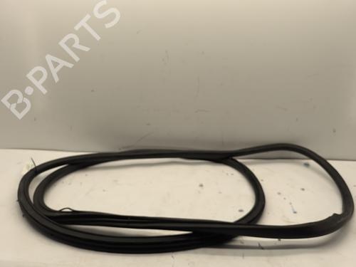 Gomma contorno porta PEUGEOT EXPERT Van (V_) 2.0 BlueHDi 145 (144 hp) 31309331