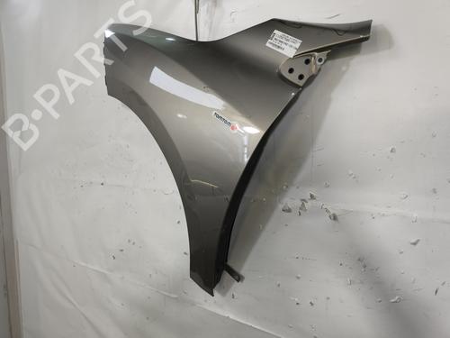 Left front fenders RENAULT MEGANE III Hatchback (BZ0/1_, B3_) 1.5 dCi (BZ0C) | BP29377277C41 