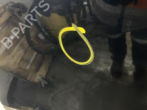 Left rear door RENAULT SCÉNIC III (JZ0/1_) 1.6 dCi (JZ00, JZ12) | BP32300075C4 