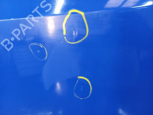 Left front door PEUGEOT BIPPER Tepee 1.4 HDi | BP31034798C2