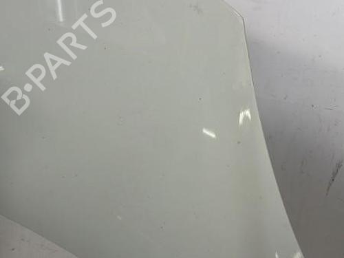 Used Hood RENAULT SCÉNIC III (JZ0/1_) 1.5 dCi (110 hp) 22835350