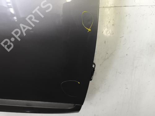 Used Right front door Right front door RENAULT SCÉNIC III (JZ0/1_) 1.5 dCi (110 hp) 35886363 35886363