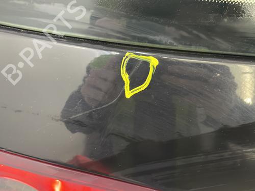 Used Tailgate Tailgate FIAT CROMA (194_) 1.9 D Multijet (194AXB1B) (120 hp) 23574170 23574170