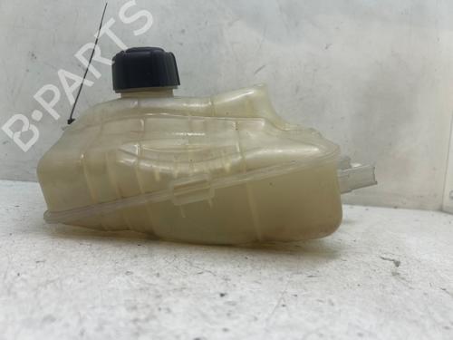 Ekpansionstank Ekpansionstank RENAULT MEGANE III Grandtour (KZ0/1) 1.5 dCi (KZ09, KZ0D, KZ1G, KZ29, KZ14, KZ1W, KZ10, KZ1F,... (110 hp) 39664000 39664000