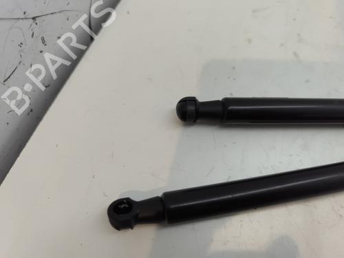 Hood lift support DACIA DUSTER (HM_) 1.5 dCi 110 (HMAB) | BP27706113C139