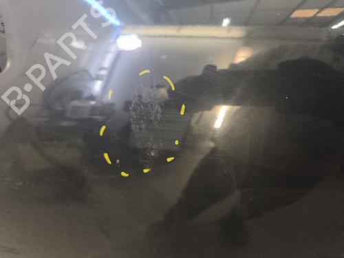 Used Left front door Left front door RENAULT SCÉNIC III (JZ0/1_) 1.5 dCi (110 hp) 33613381 33613381