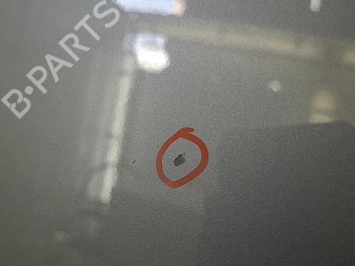 Used Hood SEAT CORDOBA (6L2) 1.4 TDI (70 hp) 22822441
