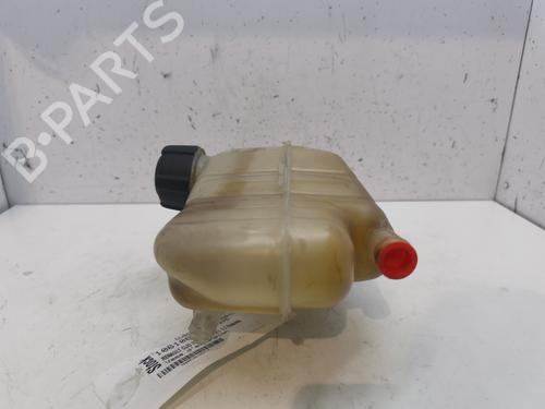 Expansion tank RENAULT CLIO III (BR0/1, CR0/1) 1.2 16V (BR02, BR0J, BR11, CR02, CR0J, CR11) | BP25996833C120 