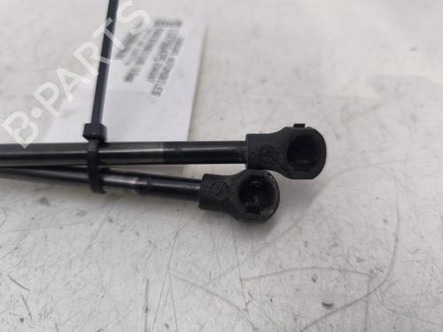 Tailgate lift support PEUGEOT 207 (WA_, WC_) 1.6 HDi | BP29491901C138 