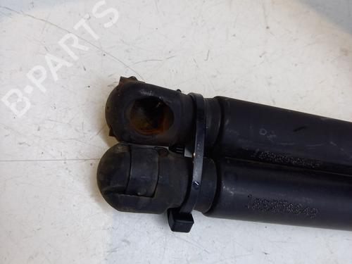 Hood lift support DACIA DUSTER (HS_) 1.5 dCi (HSMC) | BP28823877C139 