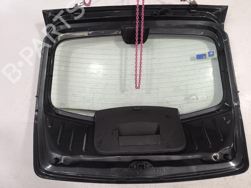 Used Tailgate Tailgate DACIA SANDERO [2008-2026] 26031596 26031596