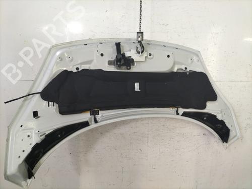 hood-renault-scenic-iii-jz01_-2008-2009-2010-2011-2012-2013-2014-2015-2016-30719365 main image