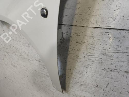 Left front fenders SKODA ROOMSTER (5J7) 1.6 TDI | BP29869212C41