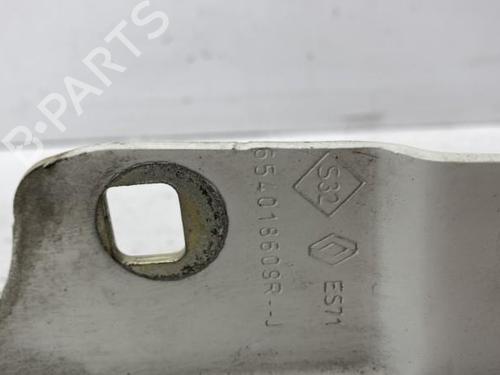 Hinge/Door check strap RENAULT ZOE (BFM_) ZOE | BP22834315C146 