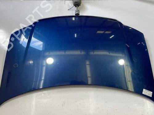 Hood FIAT PANDA (169_) 1.2 (169.AXB11, 169.AXB1A) | BP29561929C1 