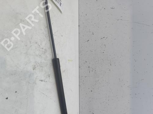 Hood lift support DACIA SANDERO II 1.0 SCe 75 (B8JC, B8JD, B8NC) | BP26181938C139 