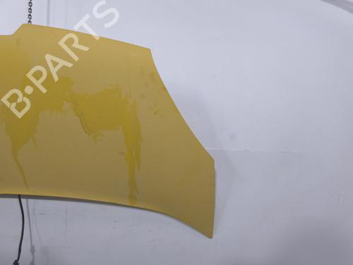 hood-renault-kangoo-express-fw01_-2008-39937108 main image
