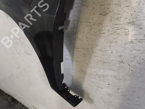 Left front fenders RENAULT CLIO III (BR0/1, CR0/1) 1.2 16V (BR02, BR0J, BR11, CR02, CR0J, CR11) | BP29869200C41