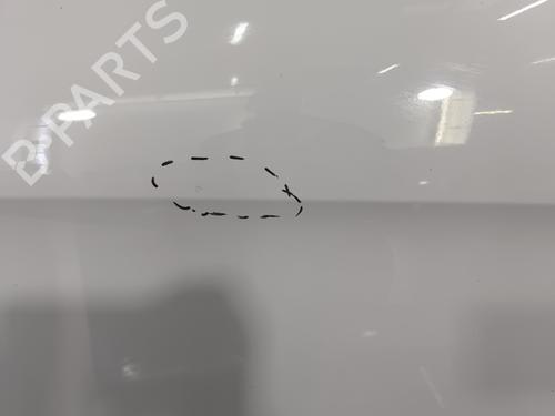 Left front door SEAT ALTEA XL (5P5, 5P8) 1.6 TDI | BP29960070C2