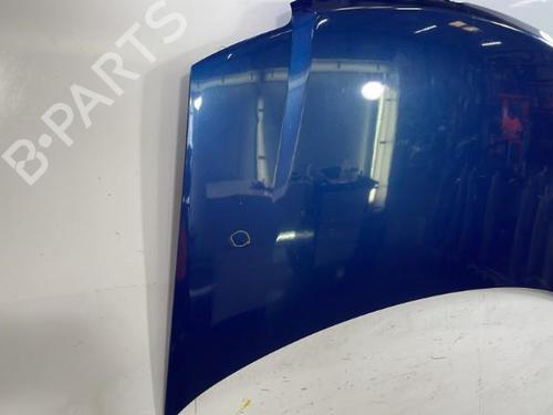 Hood FIAT PANDA (169_) 1.2 (169.AXB11, 169.AXB1A) | BP29561929C1 
