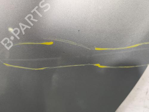 Left front door CITROËN C3 II (SC_) 1.2 VTi 82 | BP29894291C2 