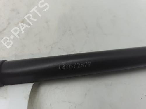 Hood lift support DACIA SANDERO II TCe 90 (B8M1, B8MA, B8AC) | BP26911386C139 
