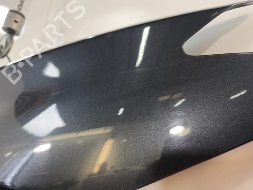Right front fenders RENAULT LAGUNA III (BT0/1) 1.5 dCi (BT00, BT0A, BT0T, BT1J) | BP29165523C42 