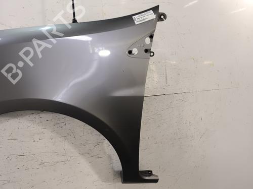 Left front fenders RENAULT CLIO III (BR0/1, CR0/1) 1.5 dCi (C/BR0G, C/BR1G) | BP28369999C41 