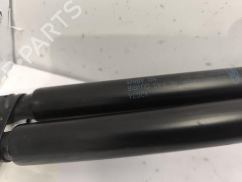 Tailgate lift support FORD KUGA II (DM2) 2.0 TDCi | BP25445442C138 - Image 2