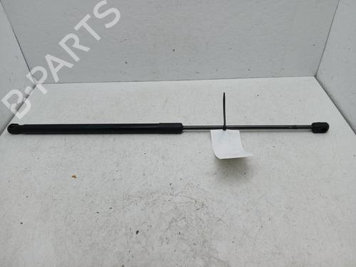 hood-lift-support-dacia-duster-hs_-2010-2011-2012-2013-2014-2015-2016-2017-2018-32703720 main image