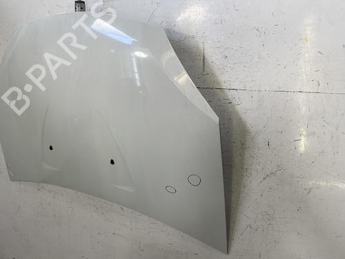 hood-dacia-sandero-2008-28525786 main image