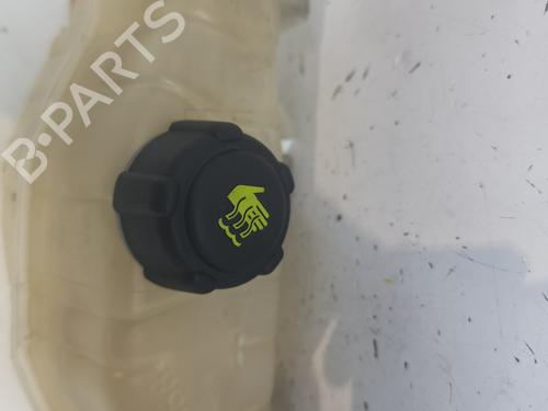 Expansion tank RENAULT CLIO III (BR0/1, CR0/1) 1.2 16V (BR02, BR0J, BR11, CR02, CR0J, CR11) | BP26148303C120 