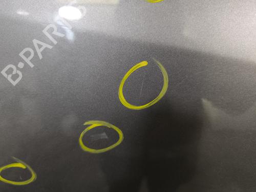 Right rear door RENAULT SCÉNIC III (JZ0/1_) 1.5 dCi | BP29869057C5 