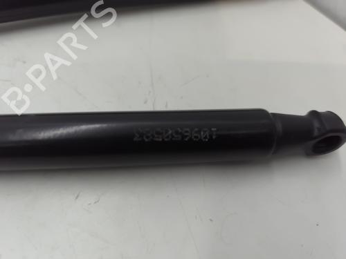 Hood lift support DACIA DUSTER (HM_) 1.5 dCi 110 (HMAB) | BP27706113C139