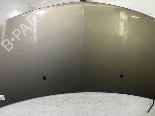 Capot Capot RENAULT CLIO III (BR0/1, CR0/1) 1.5 dCi (BR17, CR17) (86 hp) 22846375 22846375
