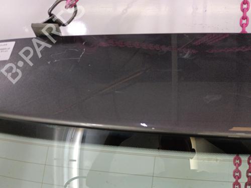 Tailgate VW GOLF V (1K1) 1.9 TDI | BP22821515C6 